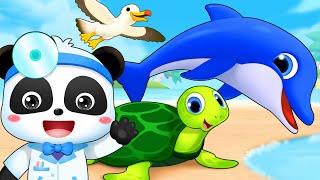 Ocean Doctors Help the Sea Animals | Good Habits for Kids | Nursery Rhymes | Kids Songs | BabyBus