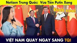 Netizen Trung Quốc: Tiễn Tổng thống Nga xong, việc lớn của Việt Nam là liên lạc với Trung Quốc