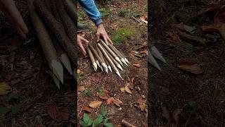 Survival bushcraft Skills #survival #camping #lifehacks #outdoors #bushcraft #shorts #skills #ideas