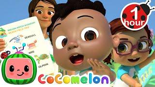 Sea Animal Class Trip To The Beach | CoComelon - It's Cody Time | Songs for Kids & Nursery Rhymes
