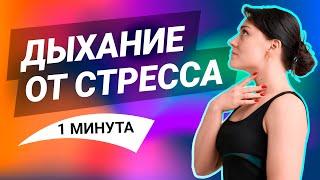 Как снять стресс и успокоить нервы за 1 мин ‍️ Диафрагмальное дыхание от головной боли и ПМС