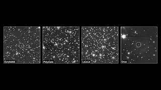 Lucy sees its Jupiter Trojan asteroids