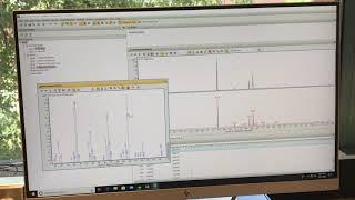 GC MS Data Analysis