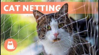 CAT NETTING for Balconies and Windows 🪟 Protect cats from FALLS