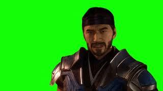 Mortal Kombat 11 Sub-Zero "such wasted potential" green screen