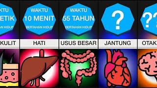 Perbandingan: Waktu Bertahan Hidup Tanpa Organ Tubuh