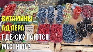 ГДЕ в АДЛЕРЕ купить ФРУКТЫ-ЯГОДЫ? | Где скупаются витаминами местные? | Цены и выбор ягод в июне