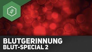 Blutgerinnung - Blut-Special 2