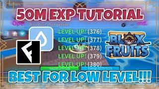 How to get 50M EXP for low level | Blox Fruits Script