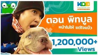 กบนอกกะลา : พิทบูล หมาแบ๊วสายพันธุ์ดุ | FULL (25 ม.ค.61)