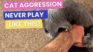 Playful Aggression in Cats: Why You Shouldn't Play "Angry Hand" with Your Cat