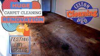 Huge Carpet Cleaning/Restoration - CCP