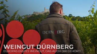 Weingut Dürnberg: Wir suchen Weinfreunde wie dich!