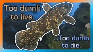 Coelacanths are terrible, yet lovable anomalies of nature. Here's a few reasons why.