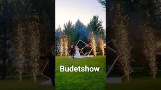 budetshow холодные фонтаны на свадьбу в барнауле бенгальские огни