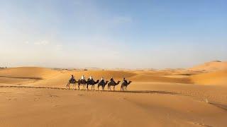 Red Door Tours Magical Morocco Tour -the best of Morocco in 16 days