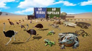 60 Birds VS 60 Reptiles Animals Race in Planet Zoo included Crocodile, Chicken, Tortoise, Ostrich