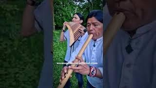 Tornero | Instrumental Music | #shorts #wuauquikuna #calm #meditation #trending #panflute #flute