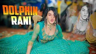 Dhola Main Te Mar Gai | Dolphin Rani - Dance Performance 2025