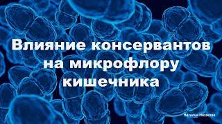 Влияние консервантов на микрофлору кишечника