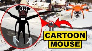 DRONE CATCHES CARTOON MOUSE & CARTOON CAT AT THE HAUNTED EXPERIMENTAL FARM! | CARTOON MOUSE SIGHTING