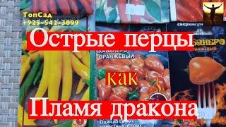 ОСТРЫЙ ПЕРЕЦ ВЫБИРАЕМ СОРТА на  2021 г. ,Обзор сортов острого перца, для тех кто любит погорячее!