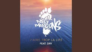 J'aime trop la life (feat. Dry)