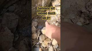 I can't believe someone left all this GOLD!!!!! | California gold prospecting