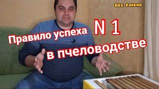 Это правило N 1 приведет к успеху. Главный секрет успеха в пчеловодстве.