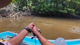 Baru Saja Mulai Mancing, Pancingku Langsung Di sambar Iwak HAUP ini