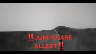 CAT JUMPSCARE