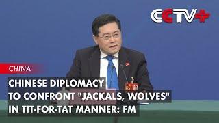 Chinese Diplomacy to Confront "Jackals, Wolves" in Tit-for-tat Manner: FM