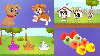 animasi bebek & anjing untuk anak-anak - belajar warna anak anak #anak #animasianak  #animationvideo