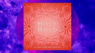 Holy Bolo (Official Audio) - Lee Harris, Narada Wise, Davor Bozic, Lana Sugarman and Brenda McMorrow