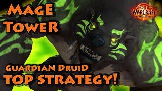 Mage Tower Guardian Druid Top Strategy – Unlock Fel Werebear FAST!