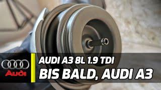 Audi A3 8L 1.9 TDI ASZ | Das Ladeluft System wird eingebaut! | Das Ende der A3 Serie  3/3