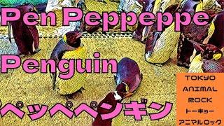 Penpepeppepe Penguin/ペンぺぺペンギンの唄/かわいいペンギン動画/Tokyo Animal Rock