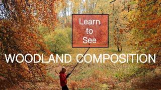 Landscape Photography | Learning how to see woodland compositions.