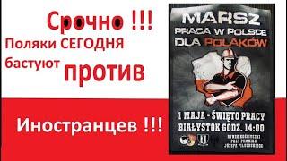 Cрочно !!!. Поляки против иностранцев. Забастовка 1мая.