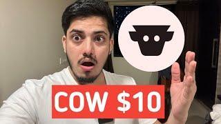 Why COW is up  COW Protocol (COW) Crypto Token Analysis