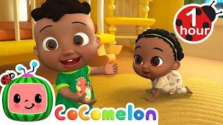 Itsy Bitsy Spider (Baby Version) + MORE CoComelon - It's Cody Time | CoComelon Nursery Rhymes