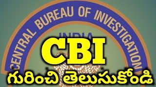 What is a CBI Learn how many things are in the CBI and what they do...