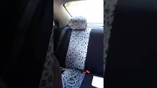 carXS Cheetah Print Car Seat Covers Full Set | Amazon | Buying link in Description #shorts