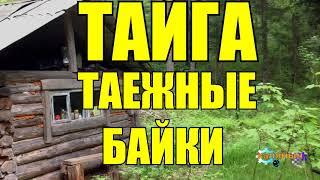 ТАЕЖНЫЕ БАЙКИ | РАССКАЗЫ ОХОТНИКА | ТАЙГА 1 из 2