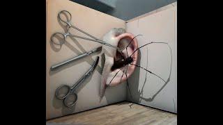 A Collection Of best 3D Illusion Art Pieces on the wall