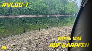 VLOG-#7  Karpfenangeln 2023 in Baden-Württemberg. Auf der Jagd nach dem 25 Kilo Karpfen.