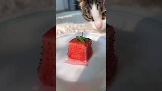 72-hour strawberry jelly 