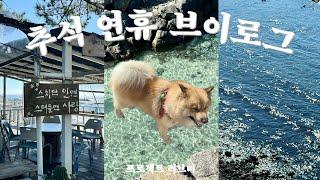 Chuseok holiday Vlog | Living alone in Jeju | Family trip | sea swim