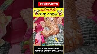 Ganesh idol made from food #ganeshchaturthi ఓ గణేశా #amazingfacts #truefacts #shorts