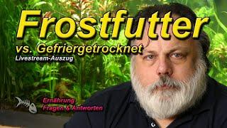 Frostfutter vs. gefriergetrocknetes Futter - Was ist besser?